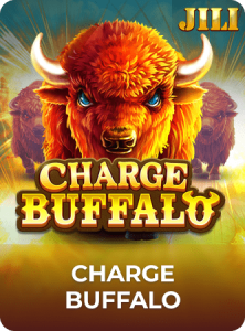 Charge Buffalo插图5