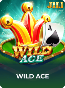 Wild Ace插图6